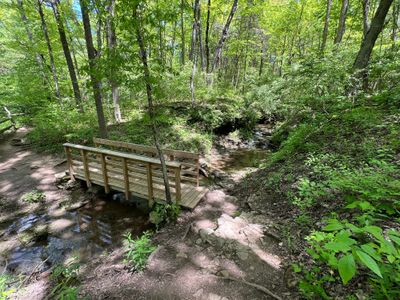 Hiking