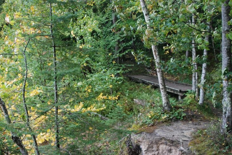 Footbridge between stone pedestals in forest