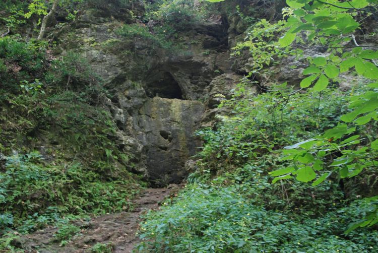 Caves in rock face in woods