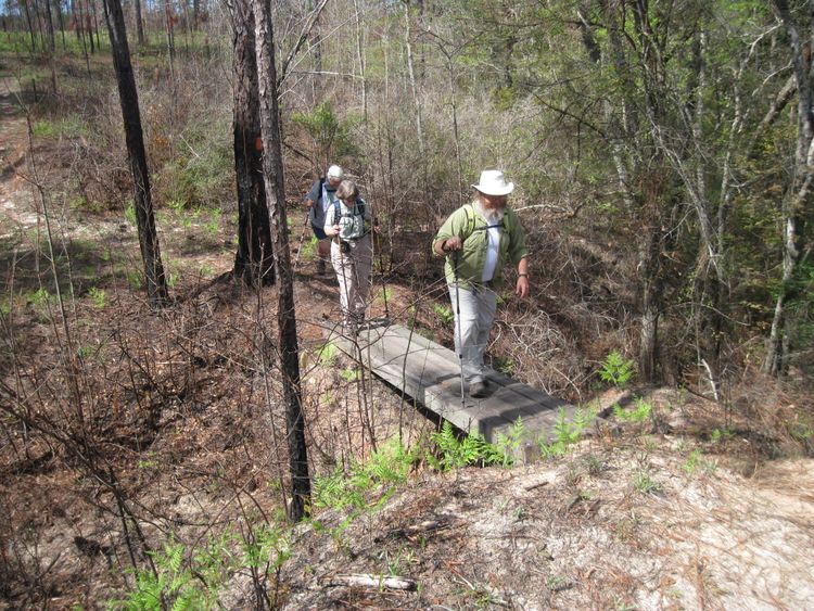 Man and two women crossing a bridge with hills both sides