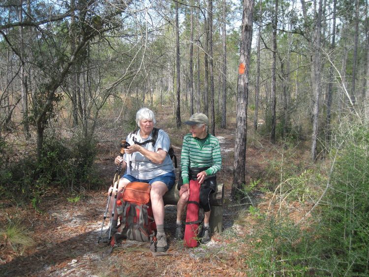 Two women on a bench with packs in front of them and a tree with an orange blaze