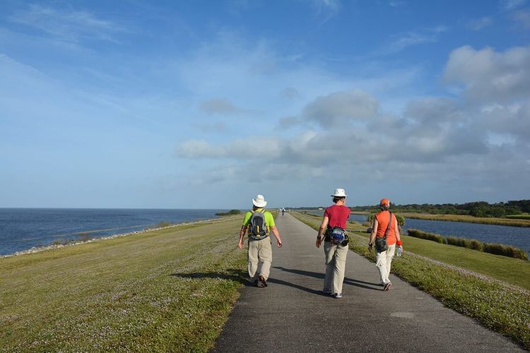 Along the Florida Trail on the Big O Hike