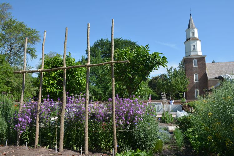 The Rockefeller's Gift