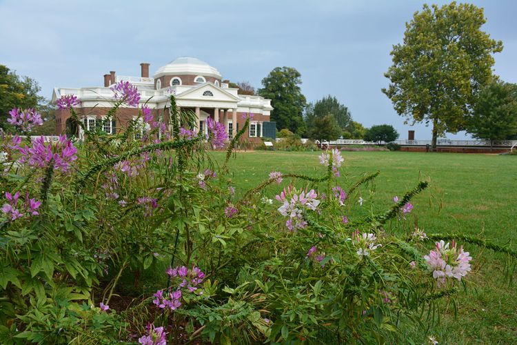 Monticello and its gardens