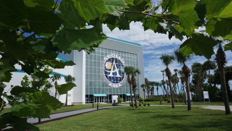 Space center building framed by arc of sycamore leaves
