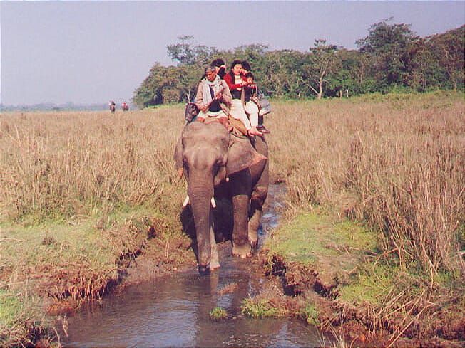 A family on an Indian elephant