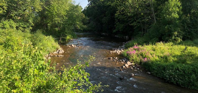 Little riffle rapids over river rocks