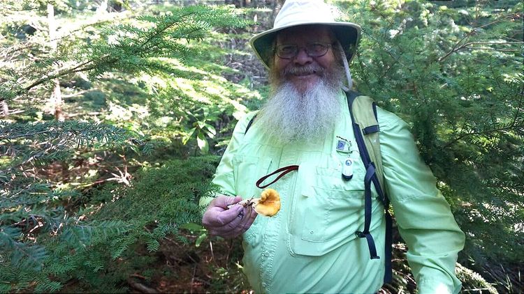 Foraging for Mushrooms in Oregon