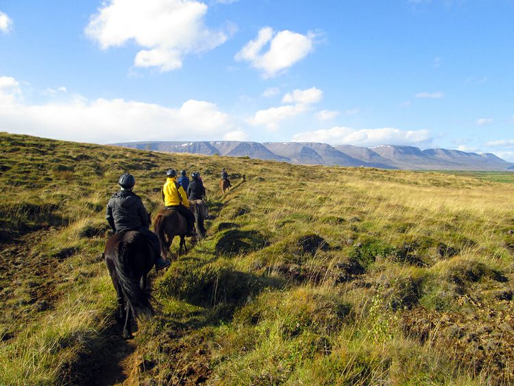 Icelandic horse ride