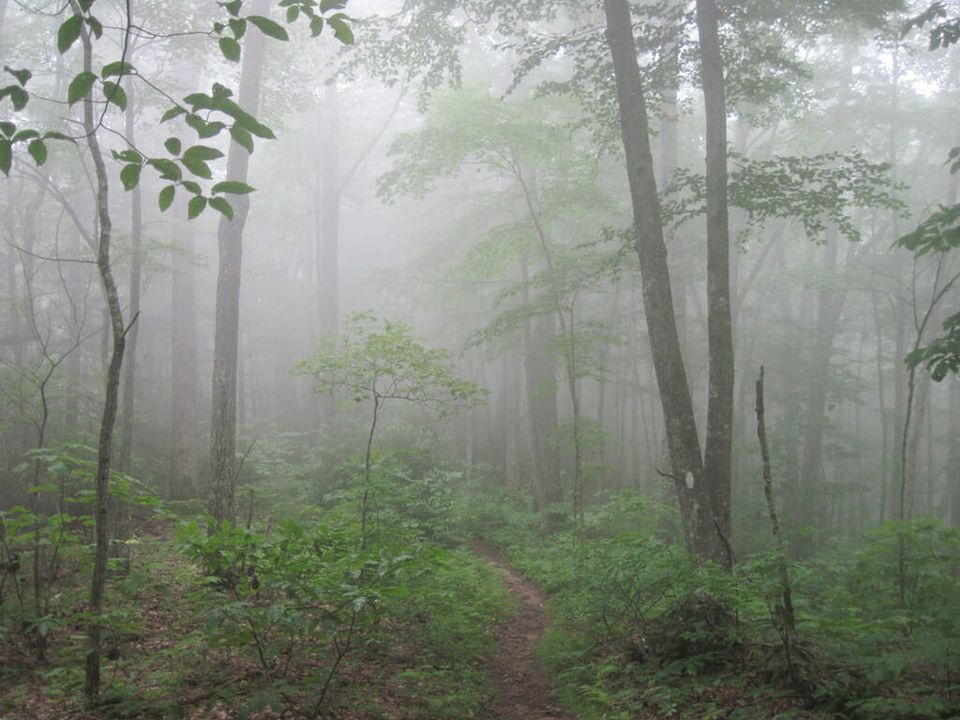 Hiking in the clouds