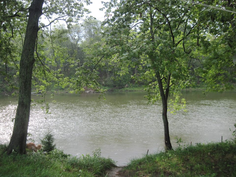 Rain splashing into a river
