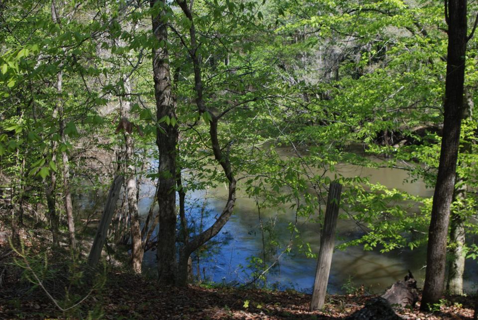Ramble on the new Hinson Trail