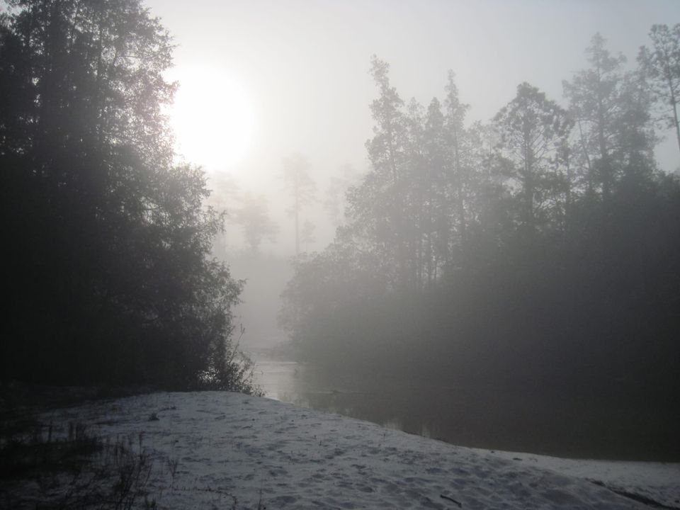Creek and surroundings in hues of sepia and smoke