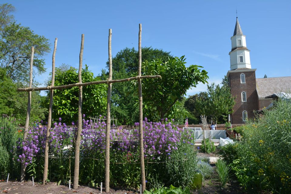 The Rockefeller's Gift