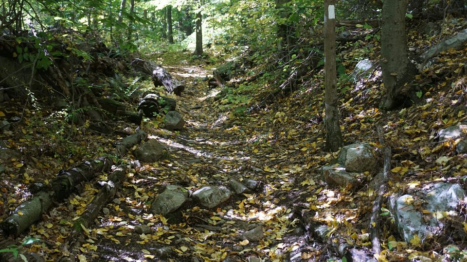 Appalachian Trail on Waywayanda Mountain