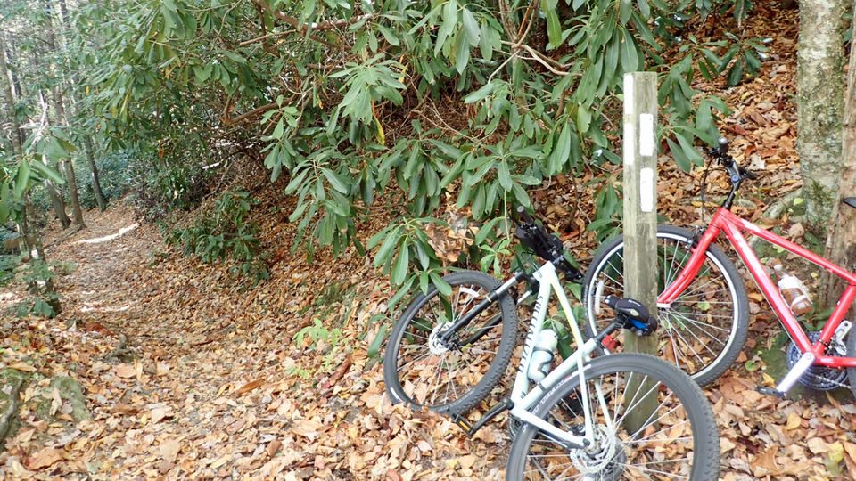 A stop on the Virginia Creeper Trail