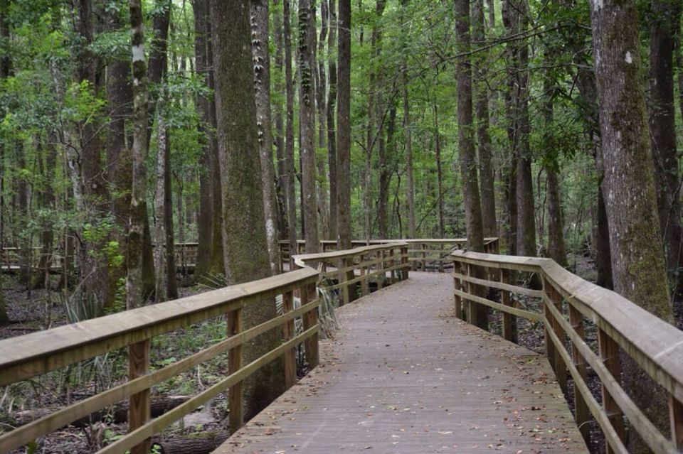 Great Swamp Sanctuary