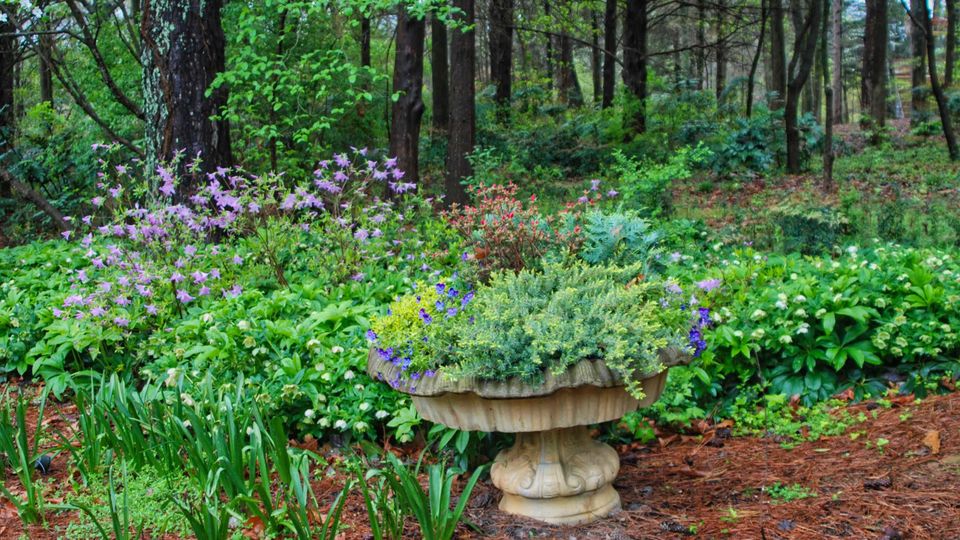 Woodlands at Huntsville Botanical Gardens
