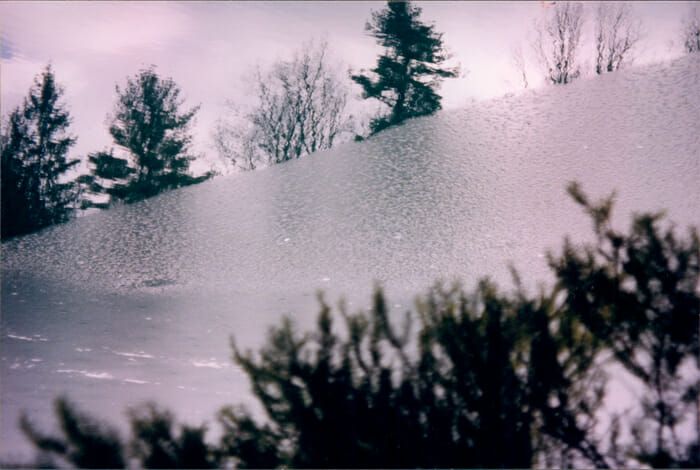 Reflections of trees on icy water