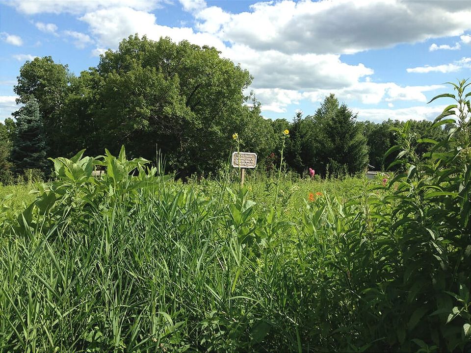 Restored tallgrass prairie at Dubuque Arboretum