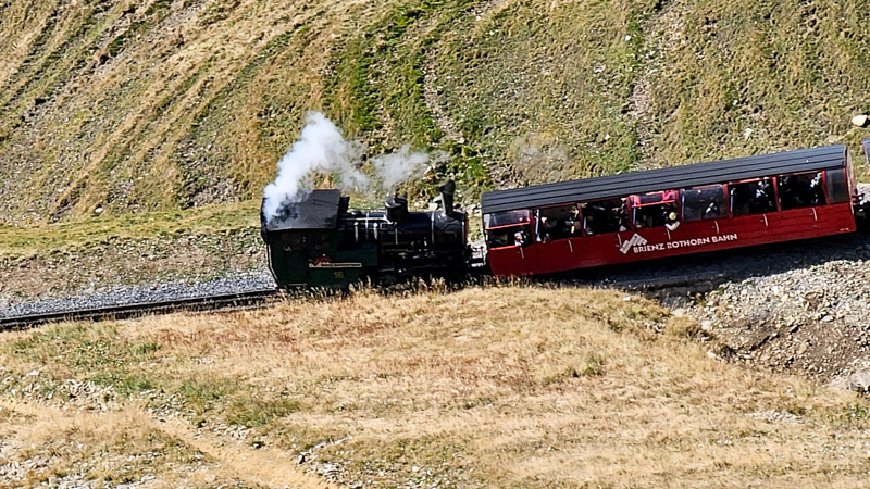 A steam-powered Brienz Rothorn Bahn train, with a red passenger car, traverses a hillside covered in dry grass. The black locomotive releases white steam, and passengers are visible inside the car.