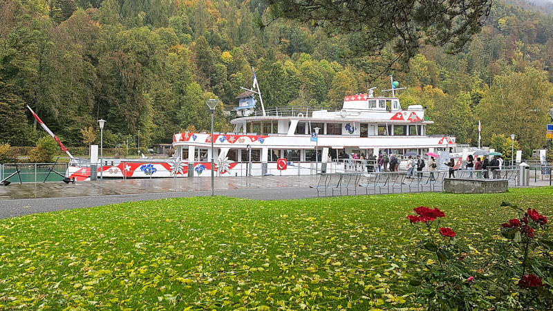 A large, white, multi-deck passenger boat with red and blue decorative accents docked at a pier, with people waiting to board. The boat is decorated with Swiss-themed motifs. It's a cloudy day, and the background features a lush green hillside covered with autumnal trees. A grassy area with fallen leaves and a small rose bush is in the foreground.