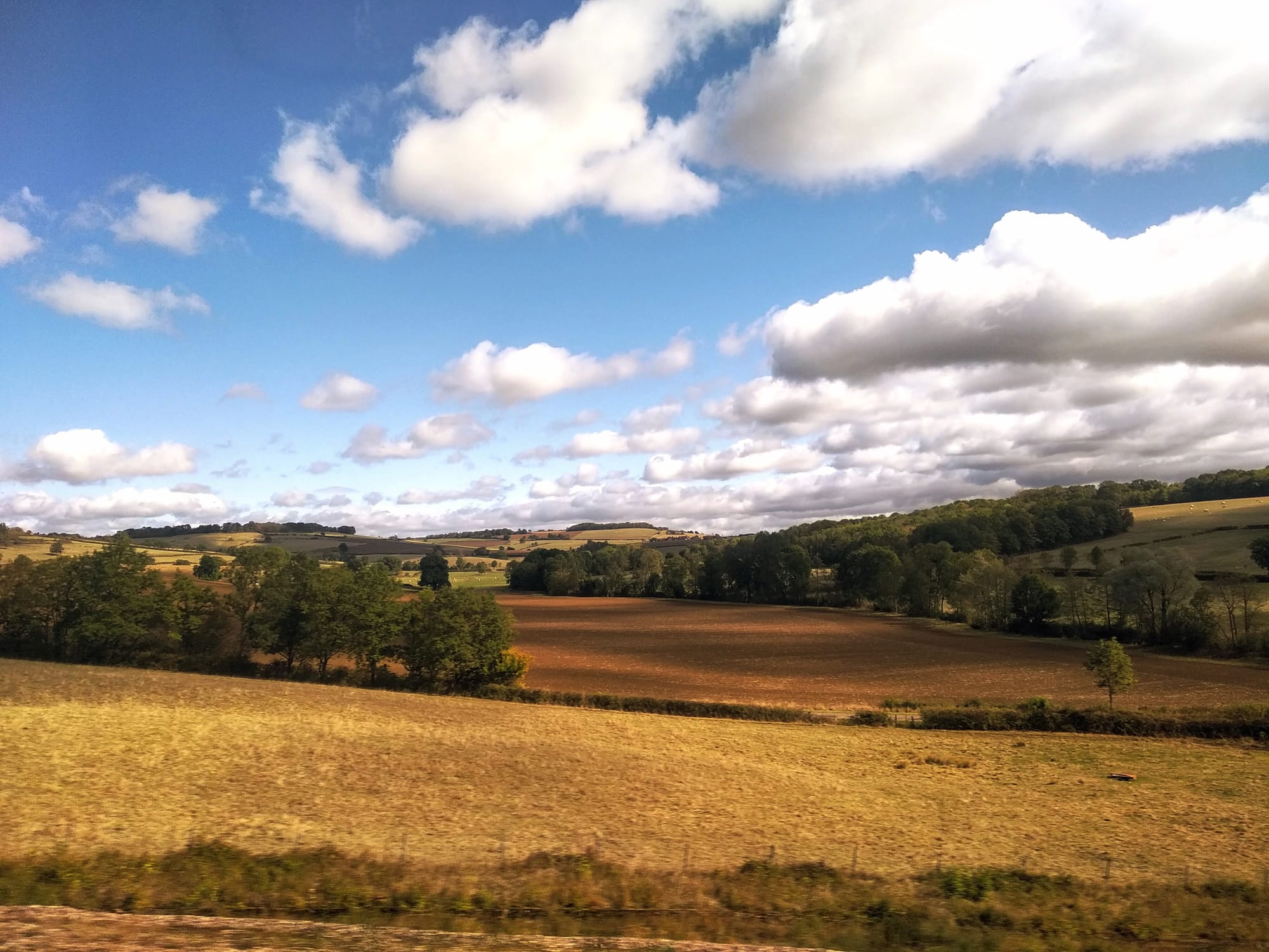 Panoramic view of a sunny rural landscape with rolling hills, a bright blue sky dotted with puffy white clouds, and fields of varying colours including yellow, brown, and green, with trees along the horizon.