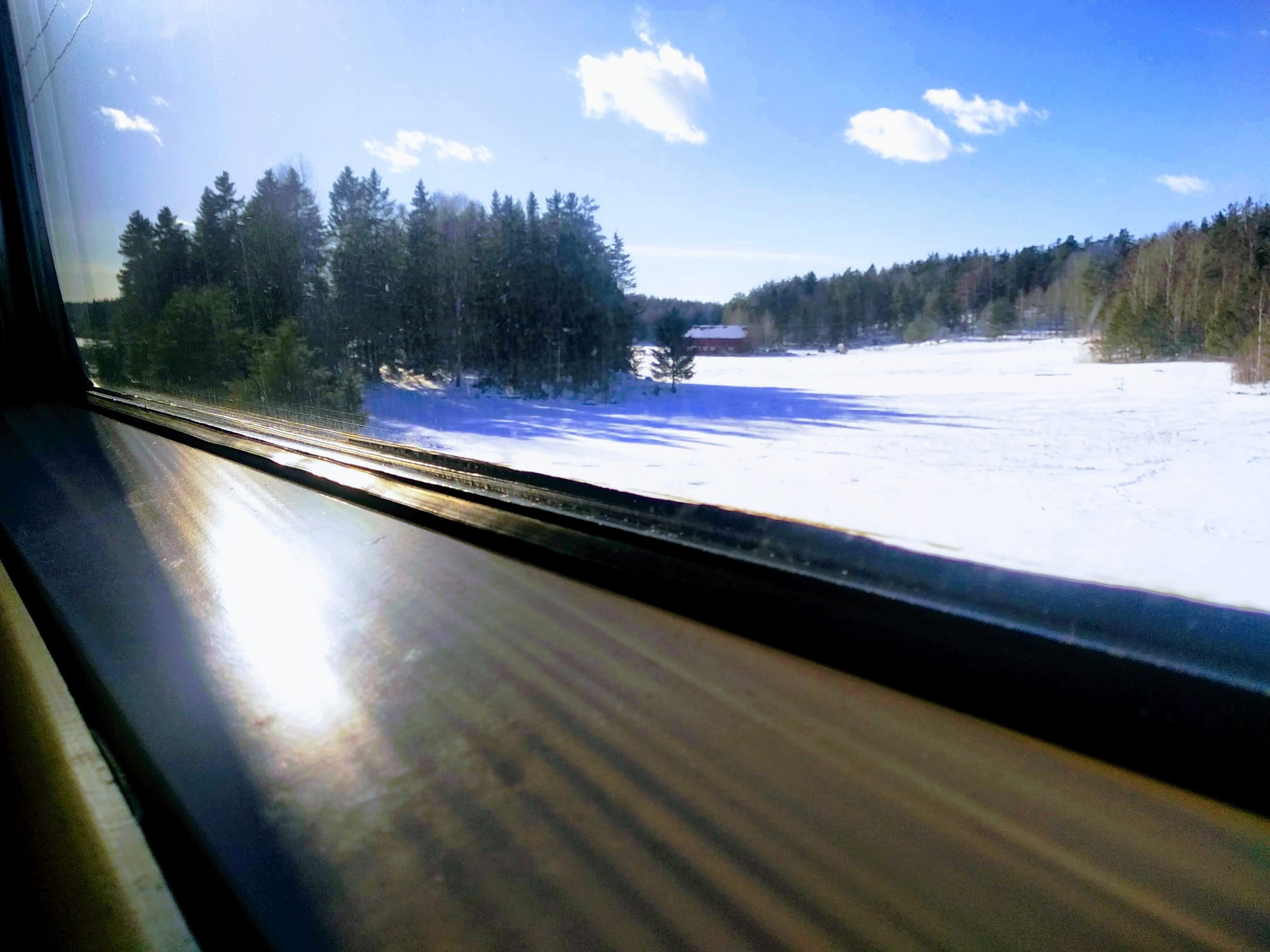 Pine trees and snowy landscape passes past a train window.