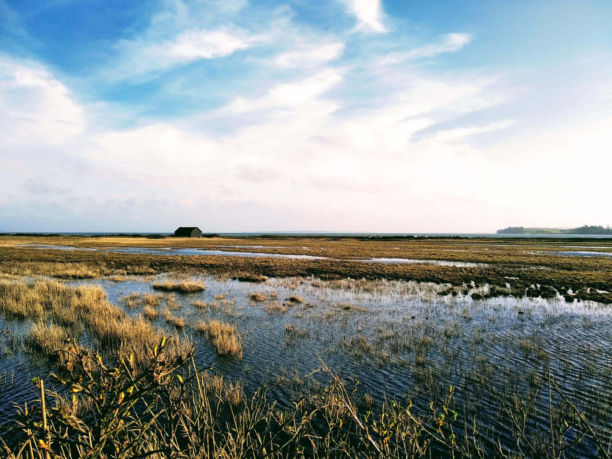 A view across wet marshland to a solitary black building on the edge of a fjord.