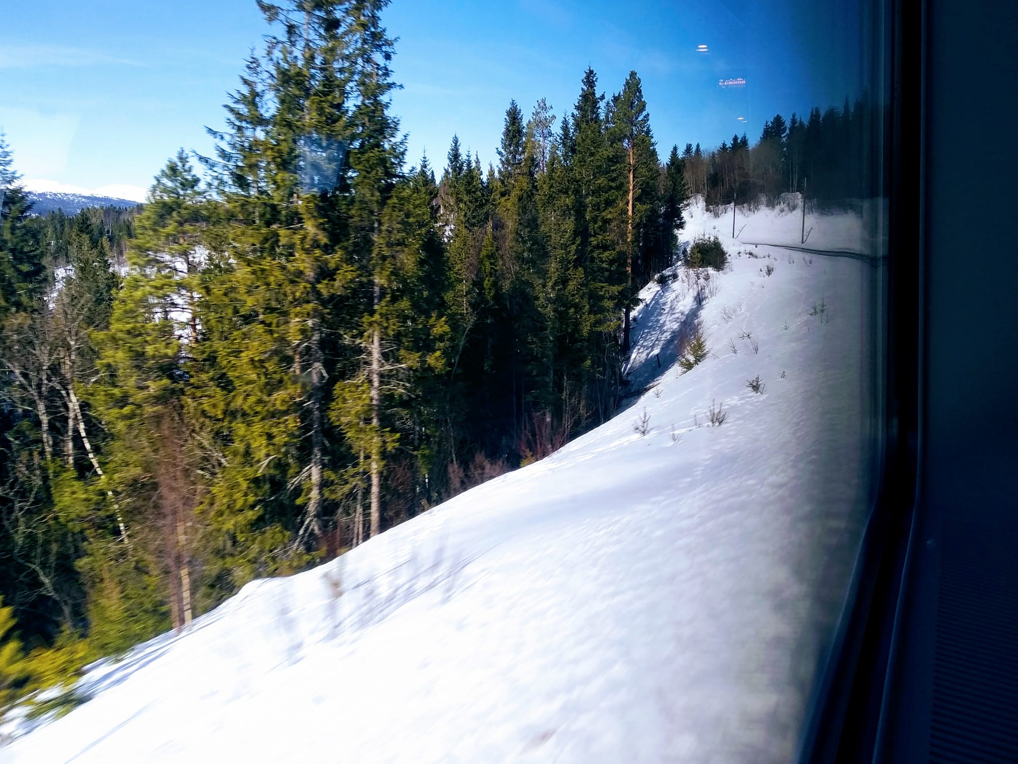 Seen through a train window, a single track curves through the snow alongside pine trees.