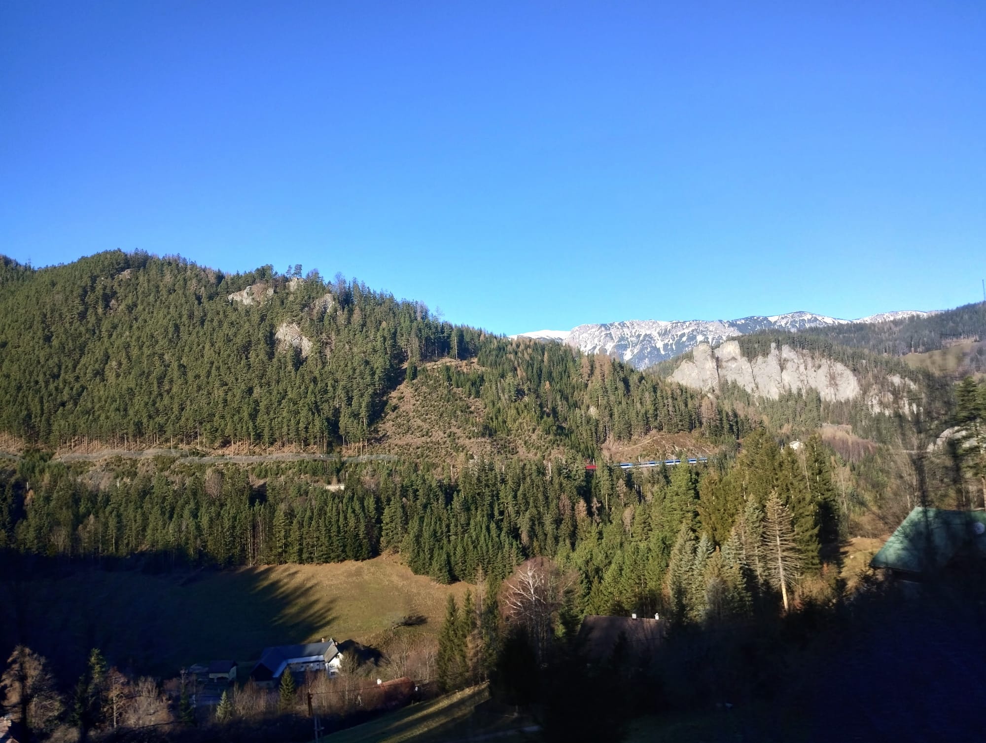 Snow-capped mountains in the distance against a blue sky. and pine trees on hillsides above a valley as seen from a train.