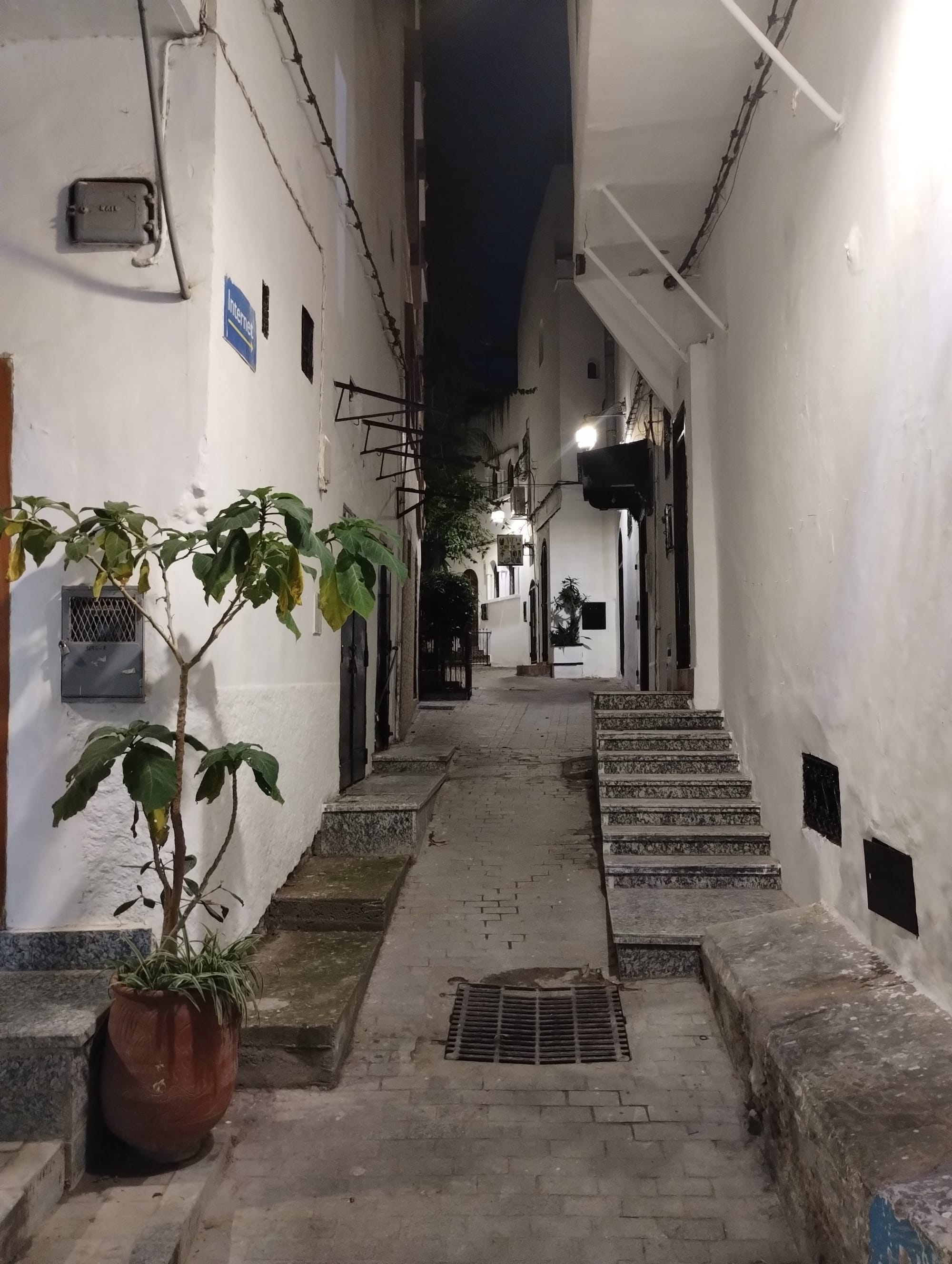 A narrow, dimly lit alleyway, lined with white-painted buildings. A potted plant sits on a raised stone step in the foreground, and a series of stone steps and a gridded drain run up the centre of the alley.