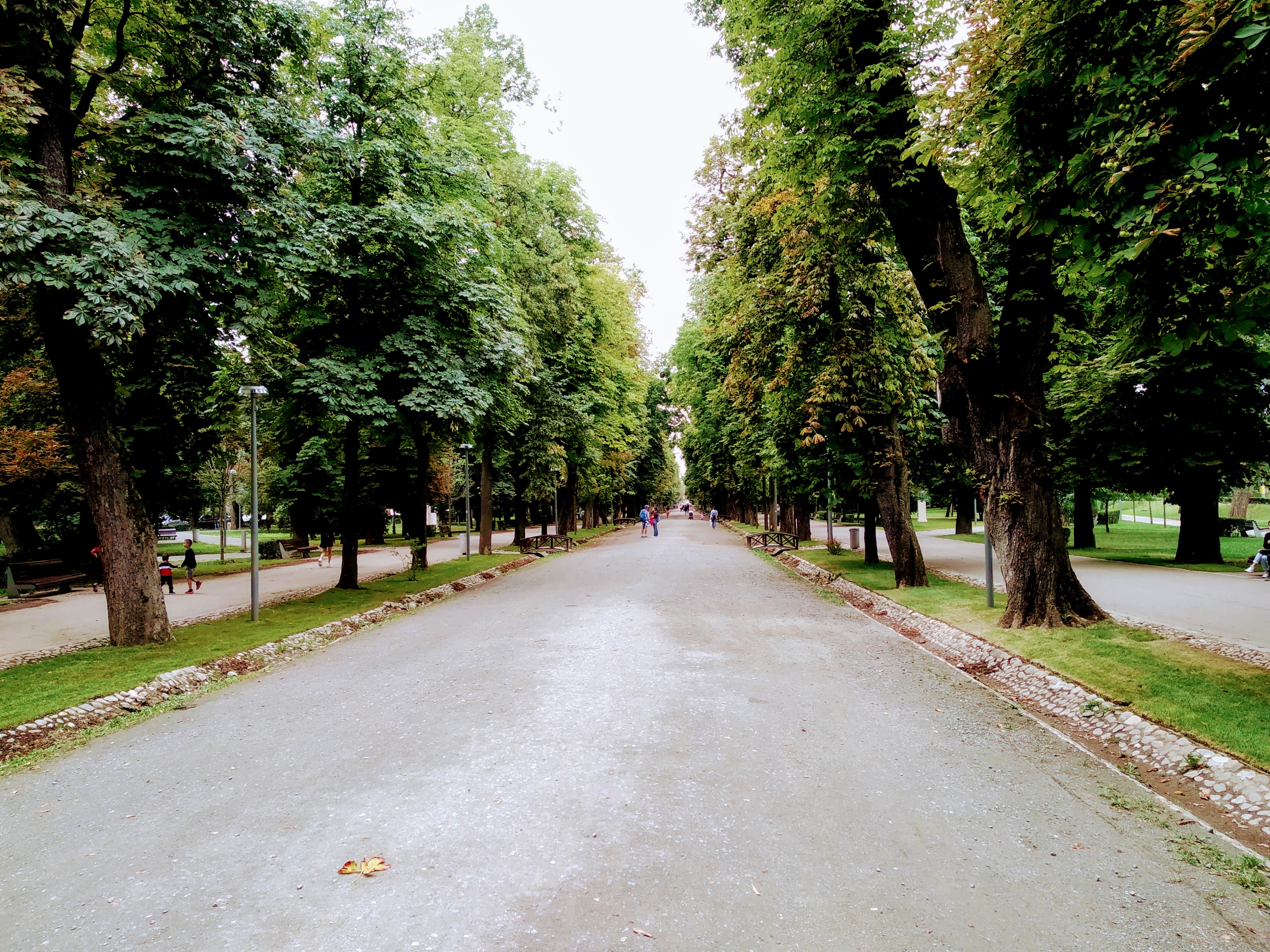 A wide, paved pathway stretches into the distance, lined on both sides by tall trees with lush green foliage. The trees form an archway over the pathway. People stroll along the path, which has grass borders and stone edging along the sides. A fallen leaf lies on the pavement near the bottom of the frame.