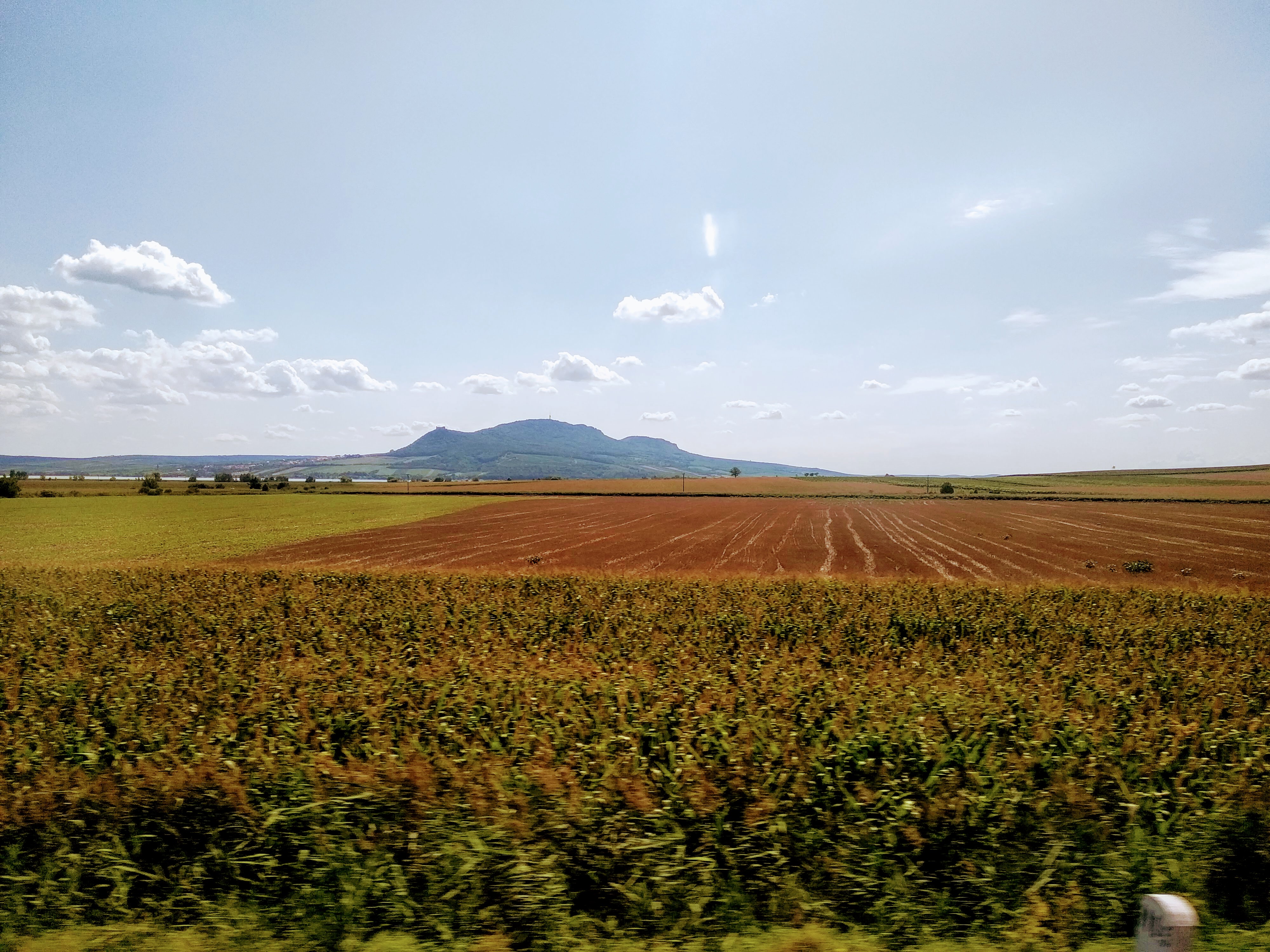 A rural landscape featuring agricultural fields in various stages of growth, with lush, green corn stalks in the foreground, transitioning to tilled brown earth and grassy fields, under a cloudy blue sky and a mountain on the horizon.