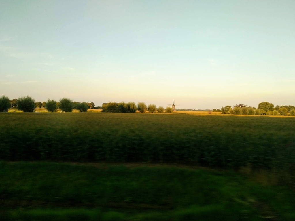 View of a rural landscape featuring a green field in the foreground, a treeline in the middle distance, and a traditional windmill on the horizon under a light blue and yellow sky.