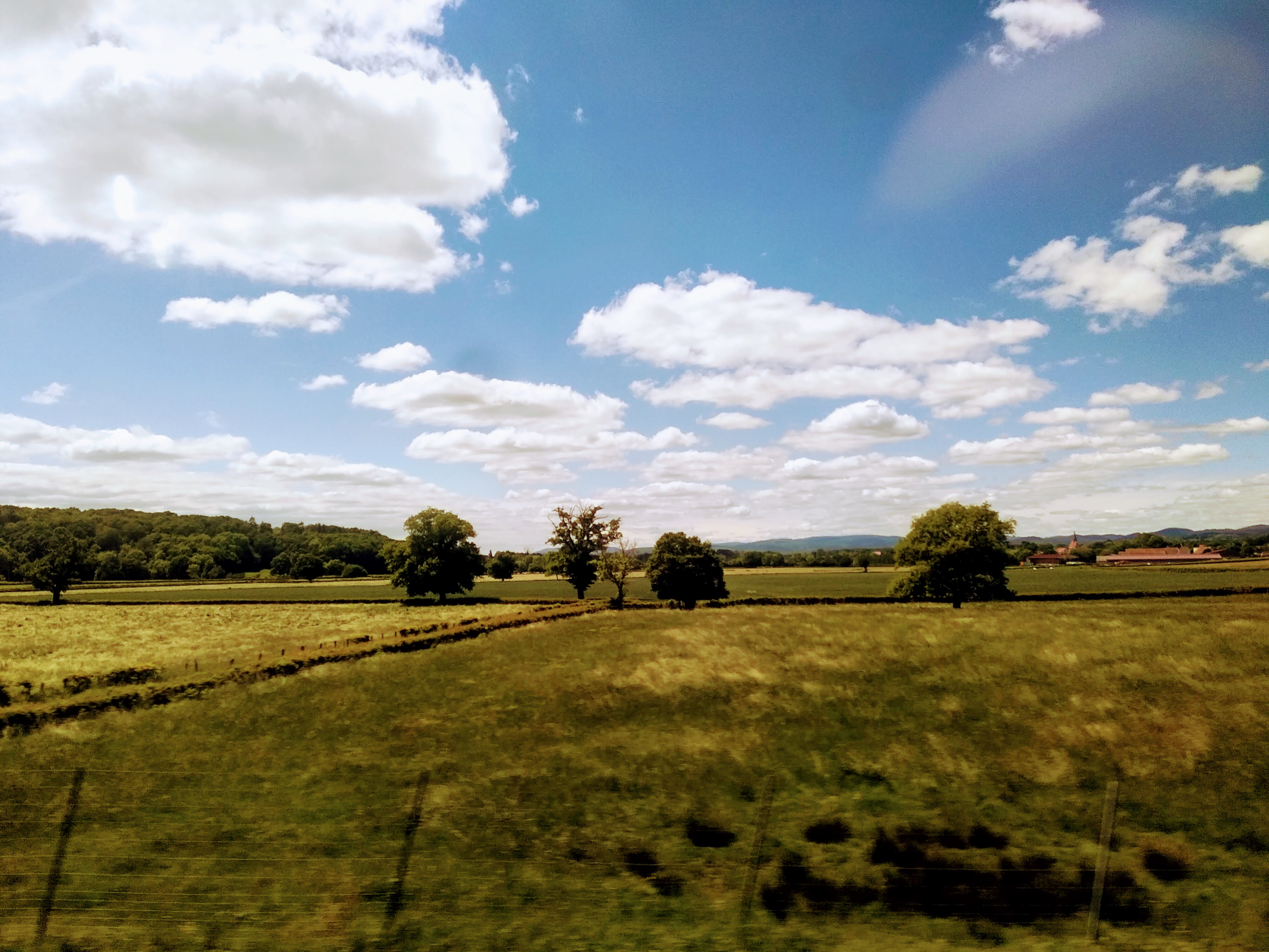 A rural landscape with a green field stretching toward the horizon, dotted with trees, under a bright blue sky filled with fluffy white clouds. In the distance, a treeline and buildings are visible.