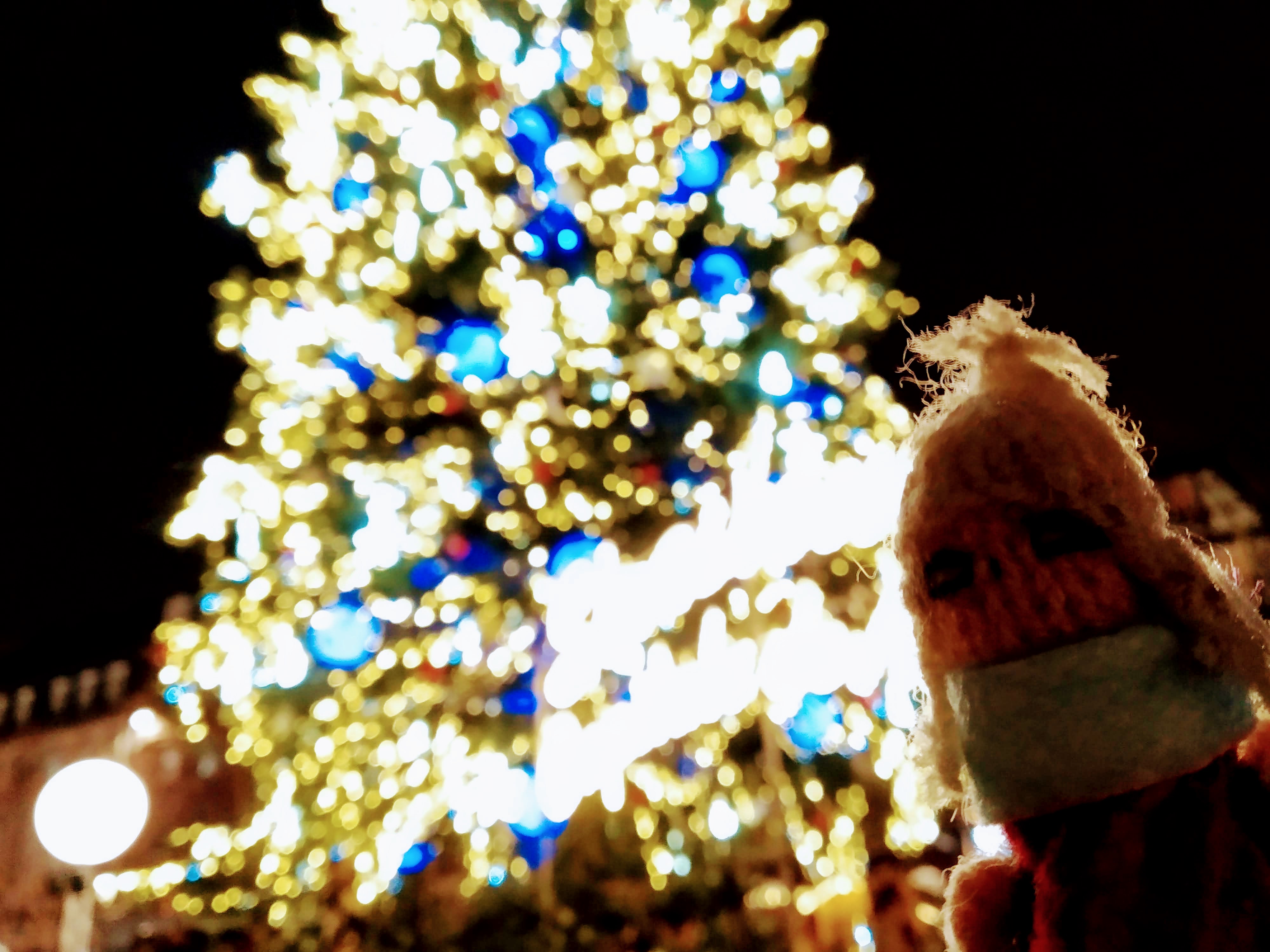 A naughty-list finger puppet with a face mask stands in front of a brightly lit Christmas tree at night; lights on the tree are blurred and out of focus, with golden and blue lights.
