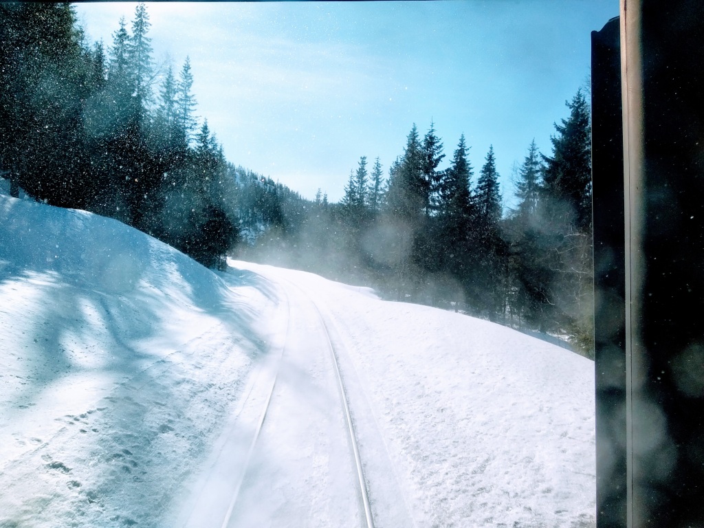A train throws snow into the air as it passes along single snowy train track running through pointy pine trees. As seen through the rear window.