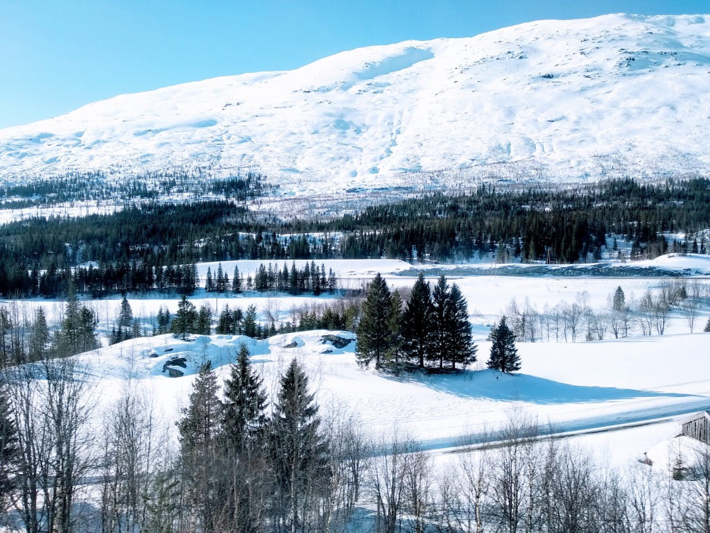 View of a snow-covered mountain dotted with trees taken from a passing train.