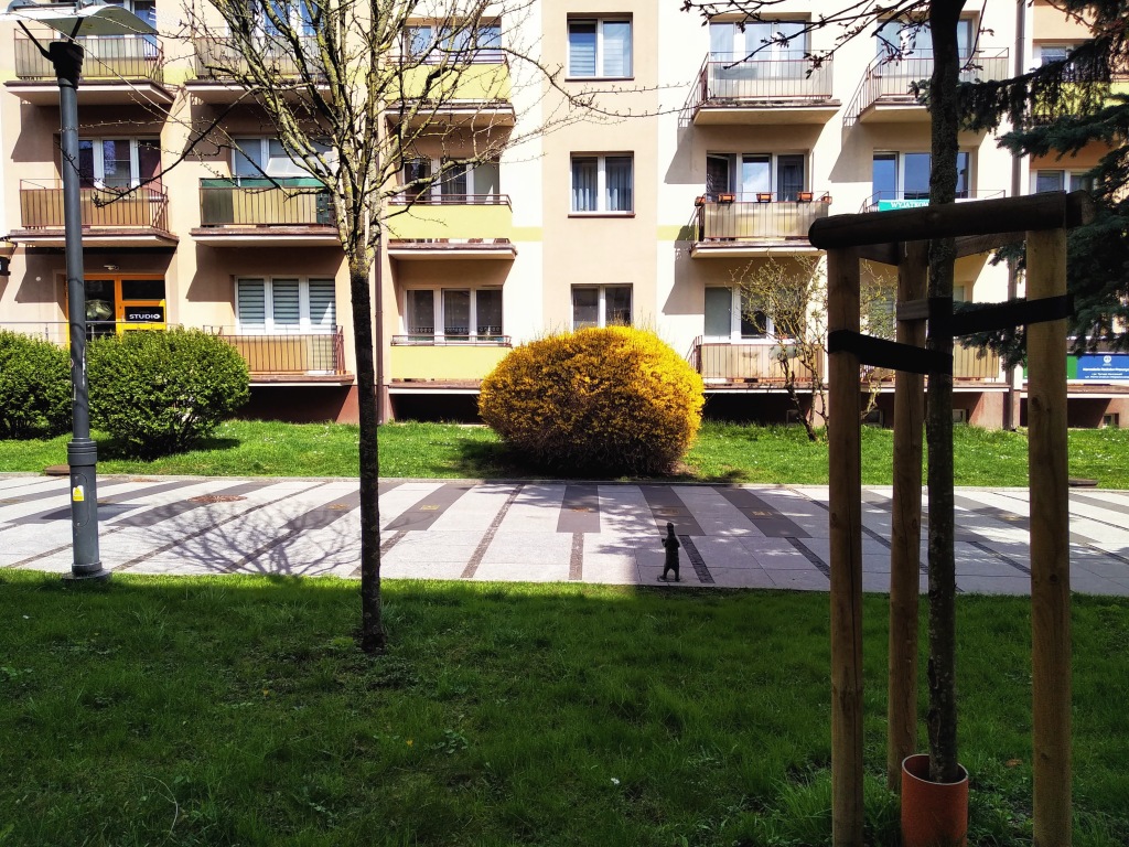 In front of a residential building, a solitary bear stands on a path which looks like a piano keyboard.