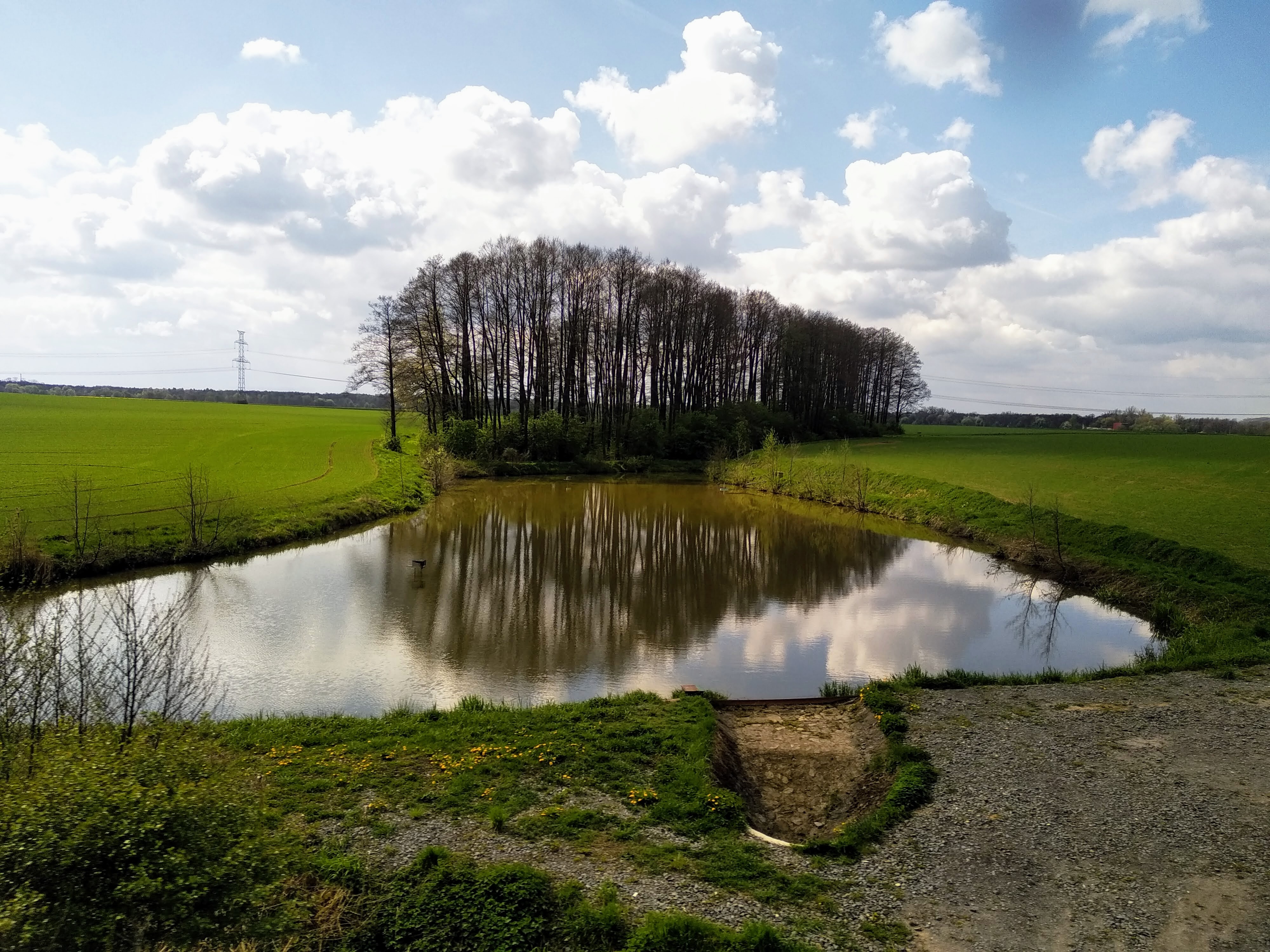 A copse stands behind a body of water into which it is reflected. Immaculate green farmland either side. Light blue sky, some clouds.