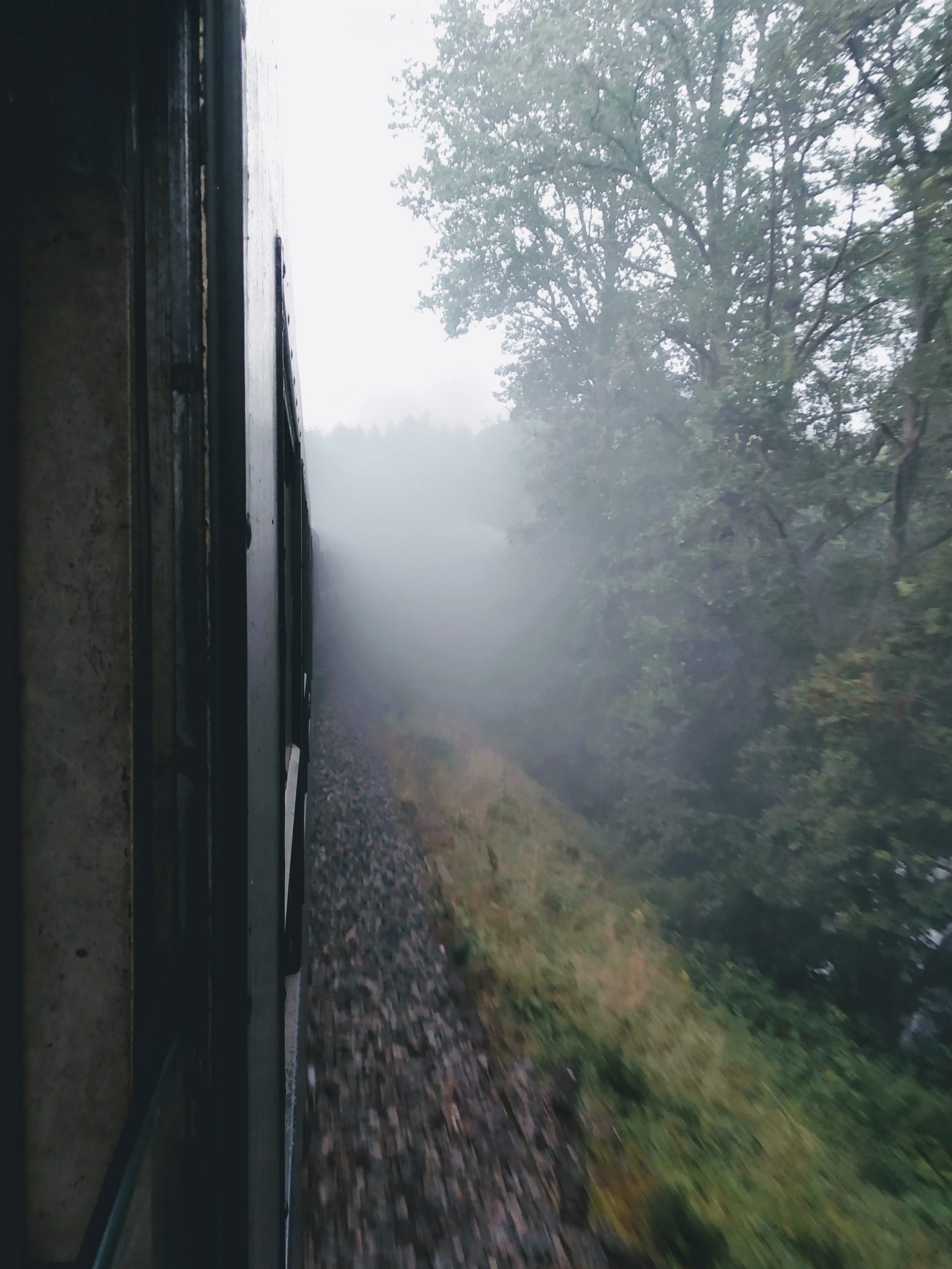 A photograph from the rear of a steam train looking towards the locomotive, which is obscured by a cloud of its own making.