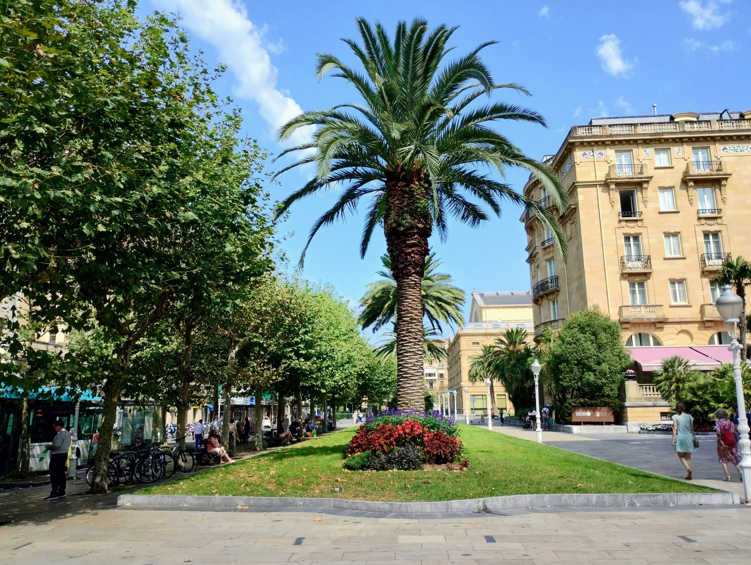 A palm tree in a green space. Trees running to the left offer shade to people sitting on benches underneath.