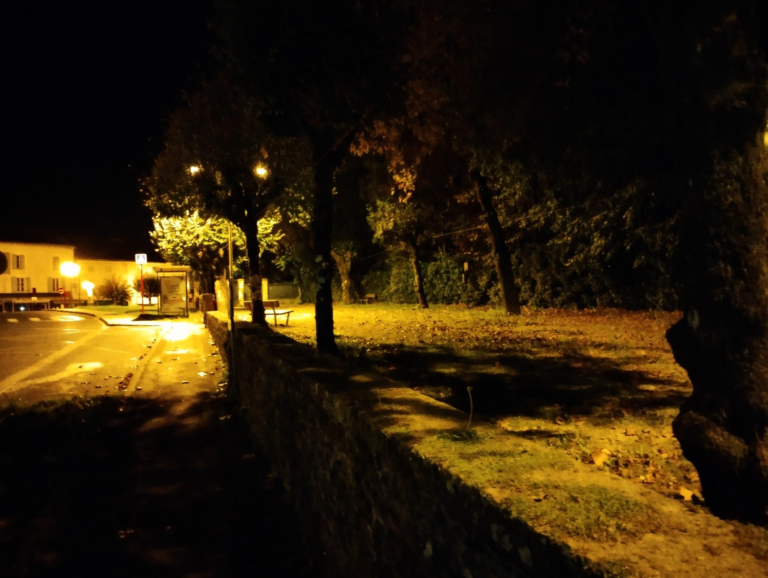 A deserted bus stop in the early morning, illuminated by street lights.