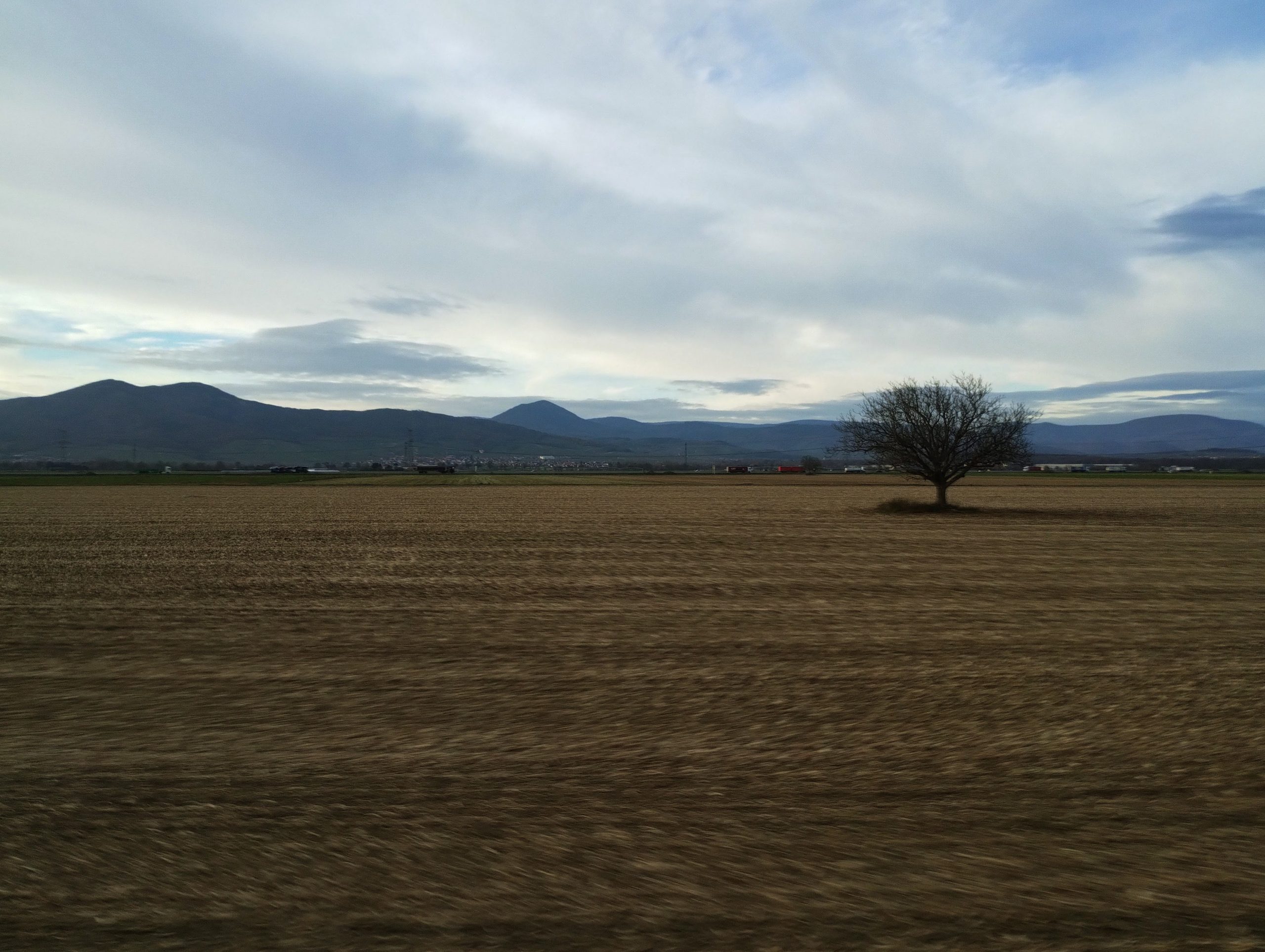 Against the silhouettes of mountains in a cloudy sky, a solitary tree with no leaves stands in a ploughed field.