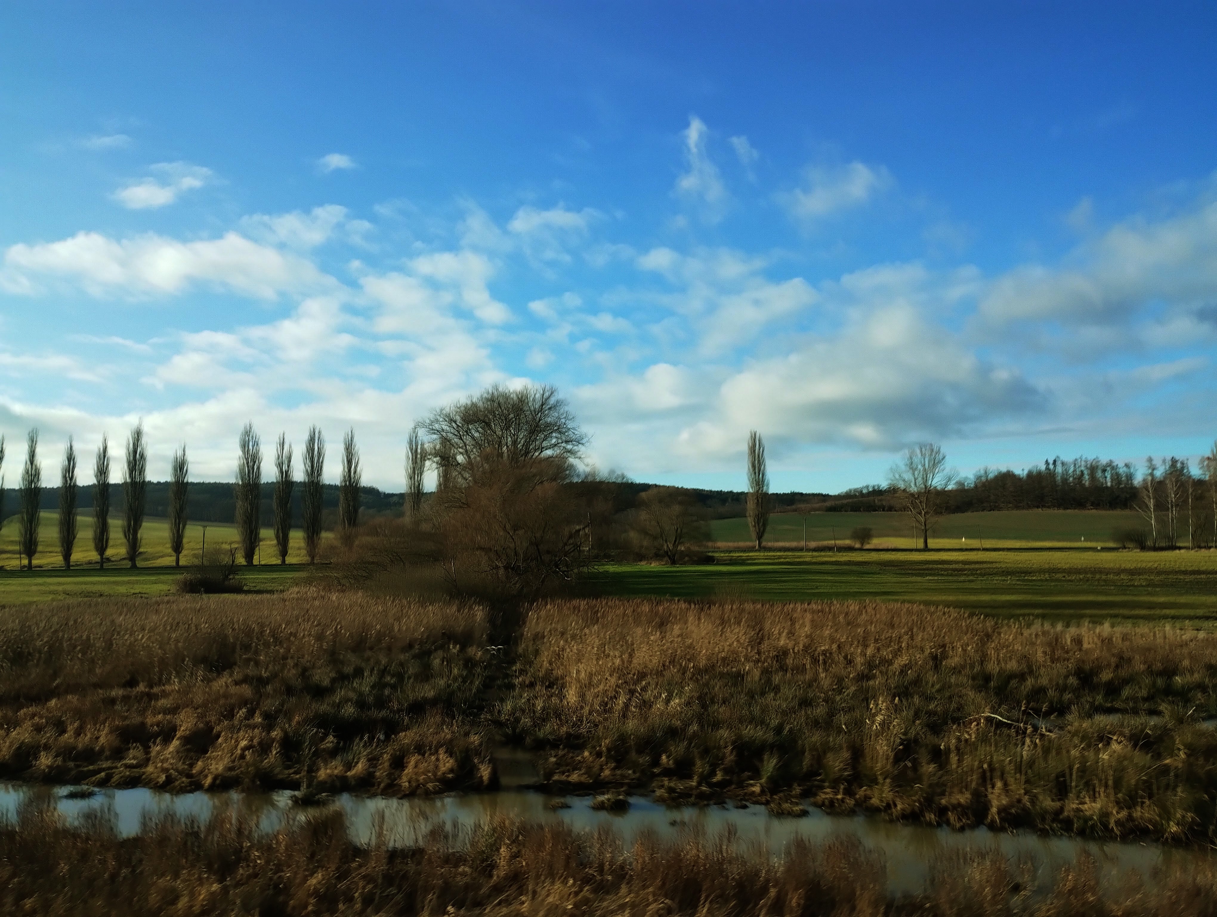 Trees, pasture, and a stream against a blue sky.