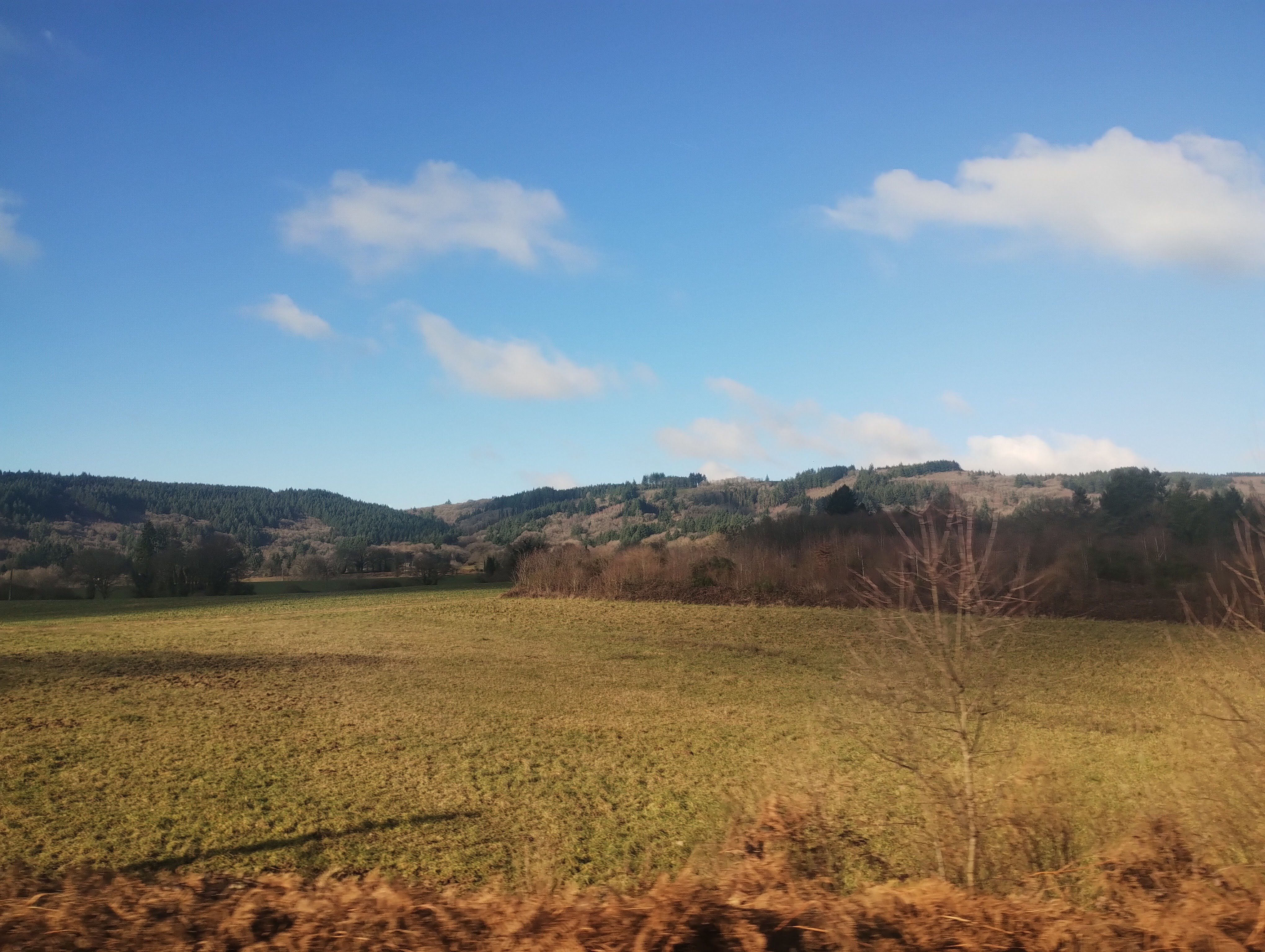 Fields and rusty trees against a light blue sky.