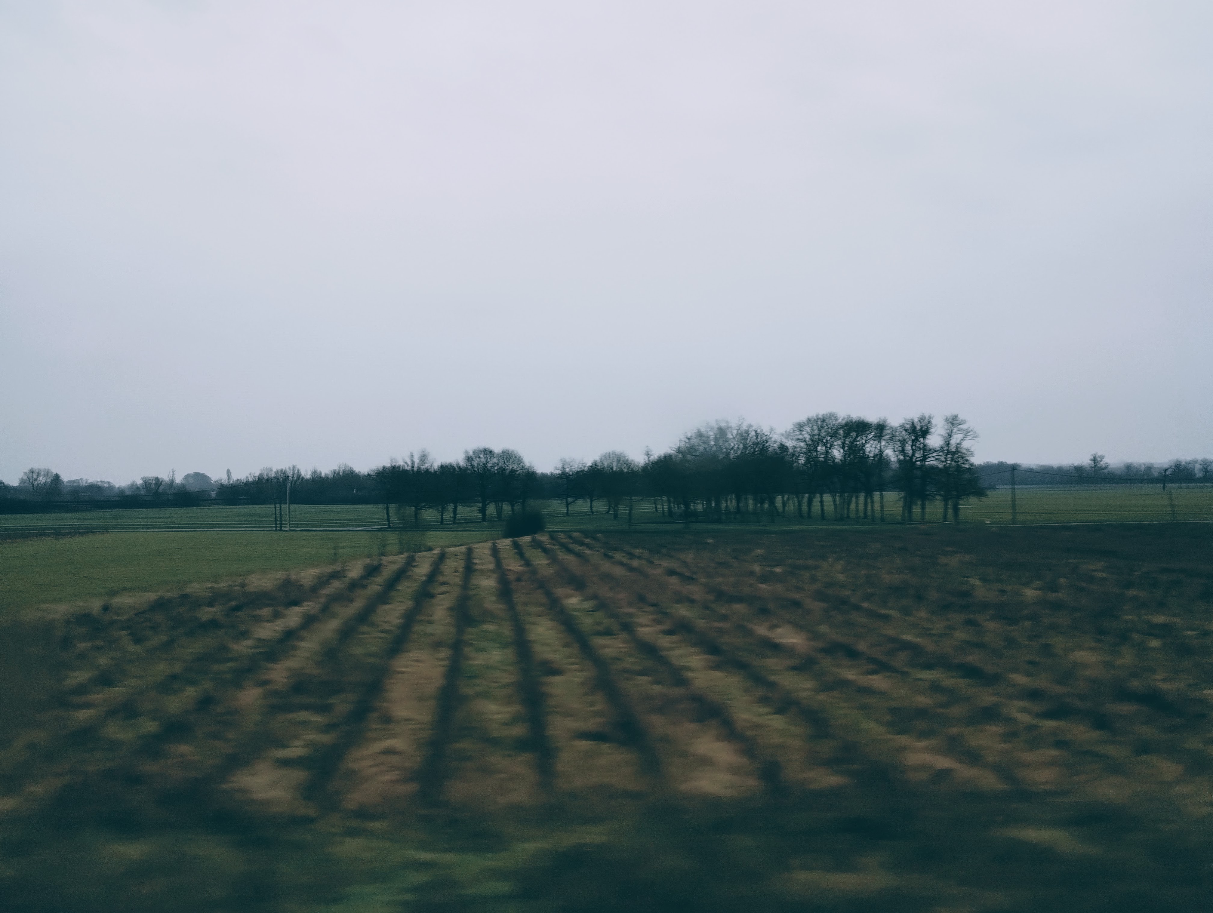 A blurry image of misty farmland passing a train window. A small leafless copse on the horizon.