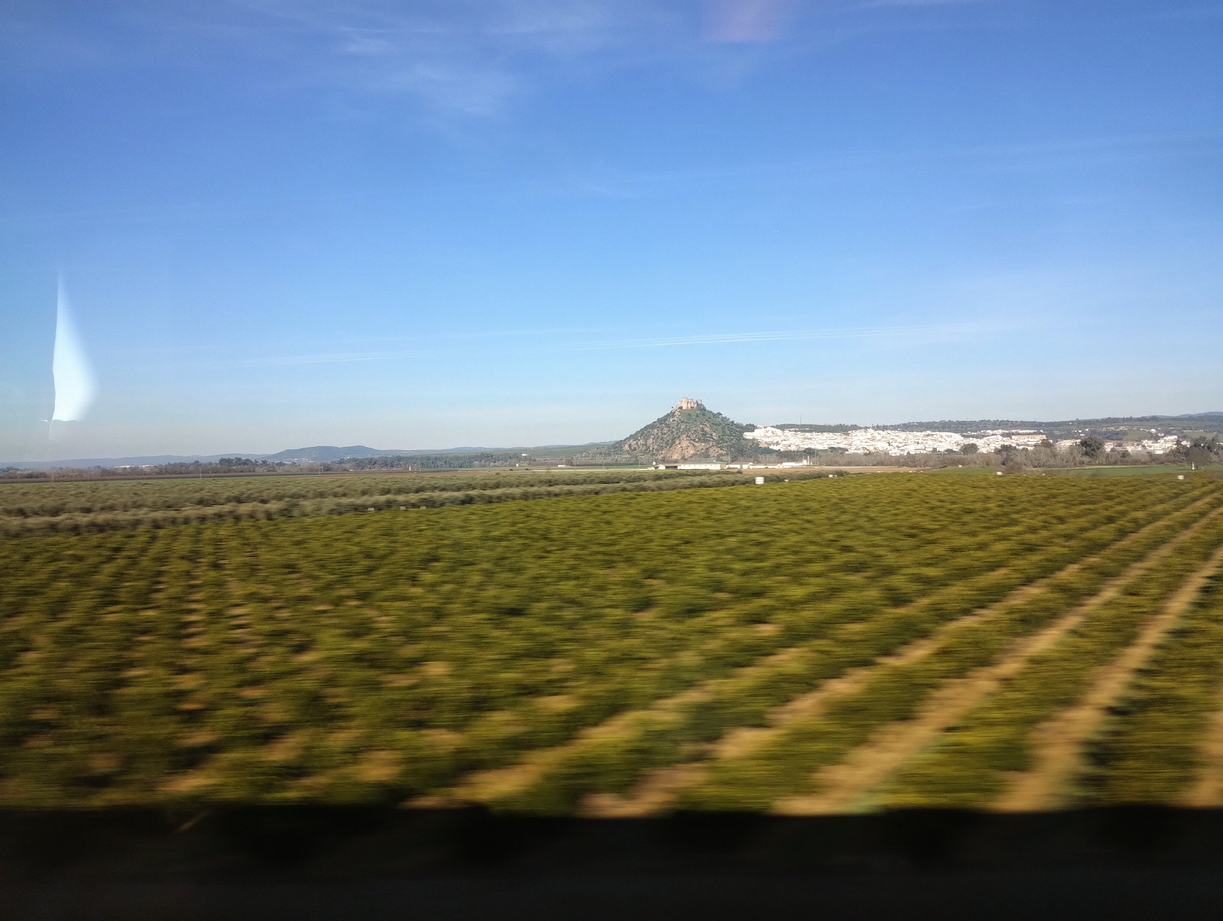 View from a moving train of an agricultural landscape under a clear blue sky, showing a field of neat, parallel rows of cultivated plants in the foreground, a distant hilltop castle, and a white town nestled in the background.