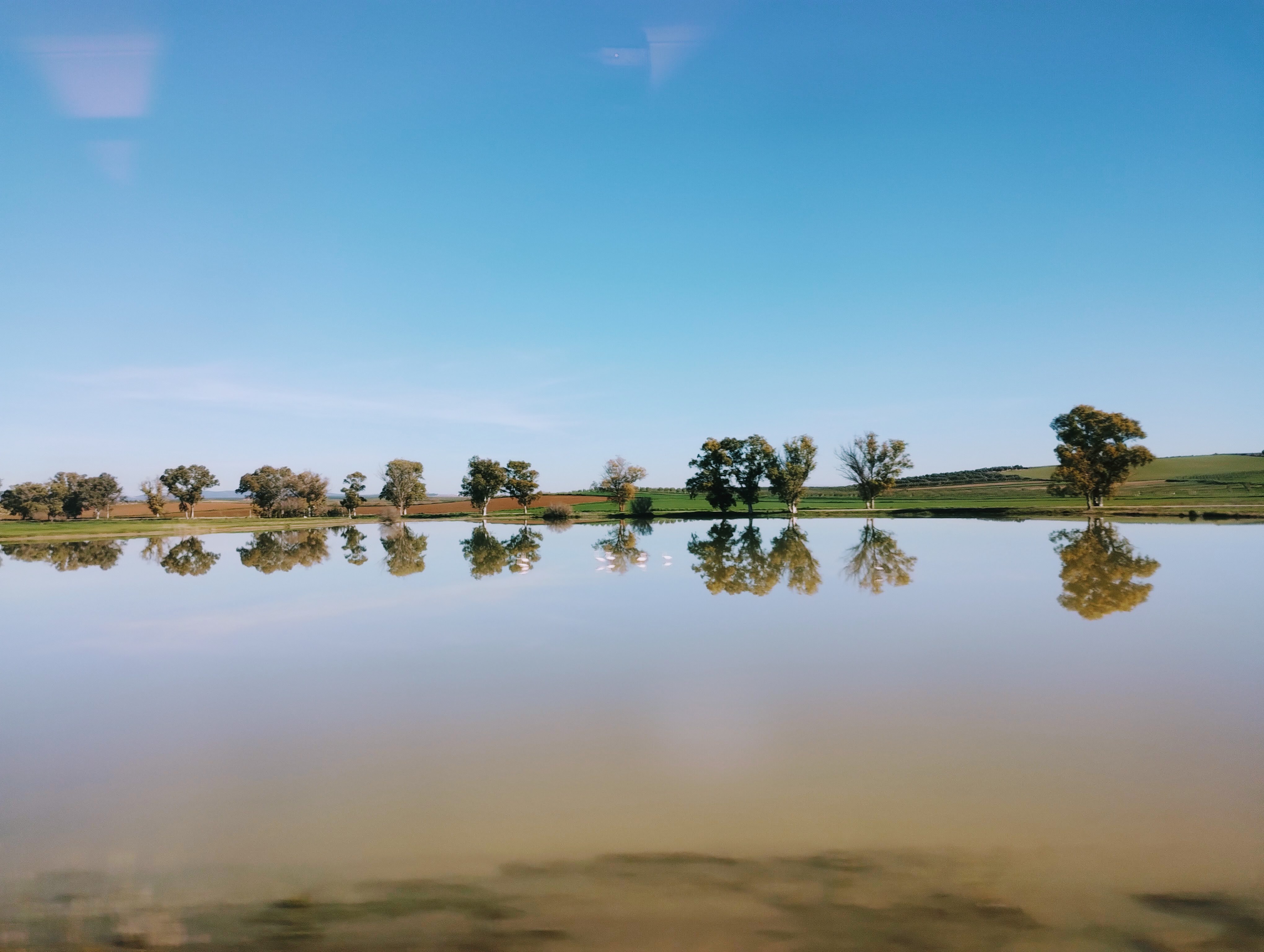 A serene landscape features a still body of water reflecting a line of trees against a bright blue sky, with the trees and landscape mirrored in the water's surface.